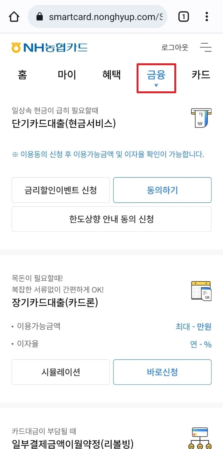 NH 농협카드 대출