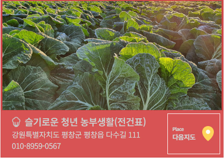 평창고랭지김장축제 예약