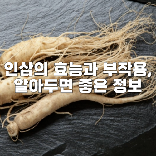 인삼의 효능과 부작용