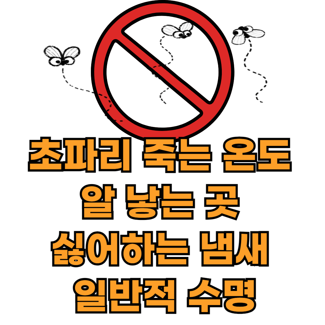 초파리죽는온도_알낳는곳_싫어하는냄새_일반적인수명_박멸하기