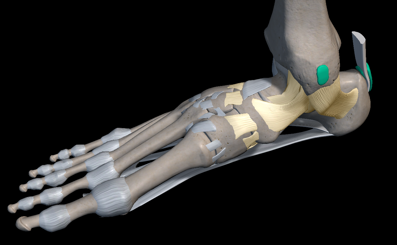 발목 안쪽 통증 원인 치료법