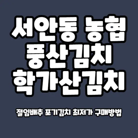 안동-풍산김치-학가산김치-절임배추-포기김치-싸게사는법