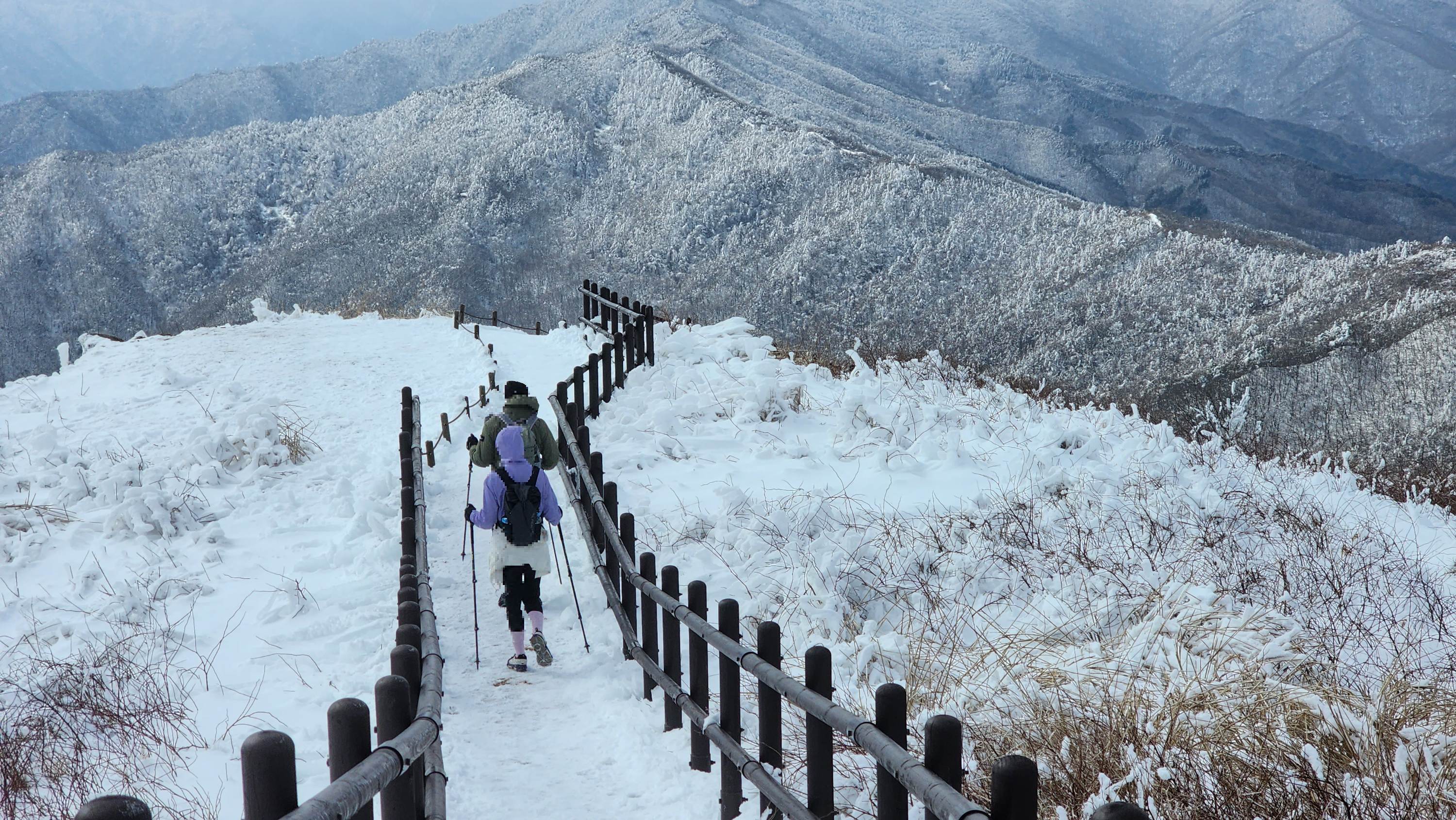 바래봉상고대 평원과 하산길