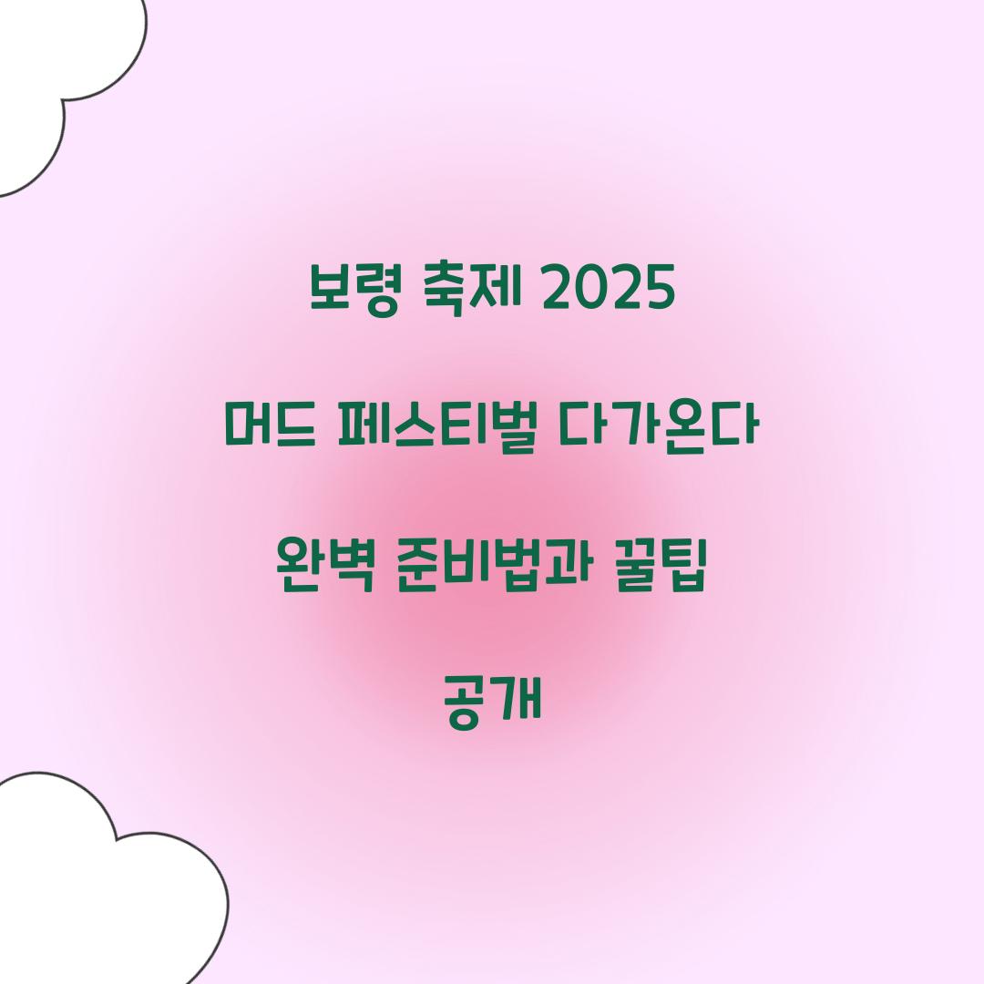 보령 축제 2025 머드 페스티벌