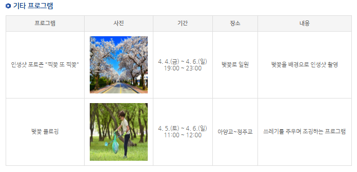 정읍 벚꽃축제 주차장 초대가수 천변 꿀팁 정리