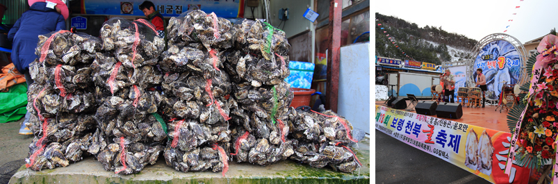 2023 보령 천북굴축제 천북굴단지 소개