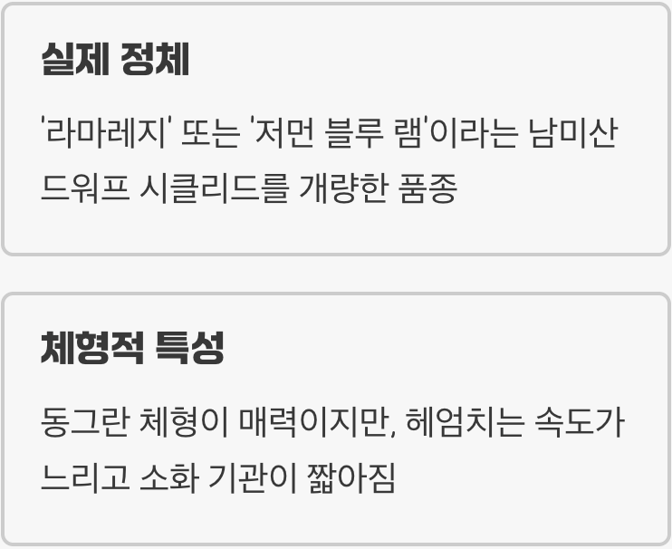 &amp;#39;골든볼&amp;#39;&amp;#44; 귀여움 속에 숨겨진 비밀