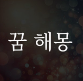 꿈해몽