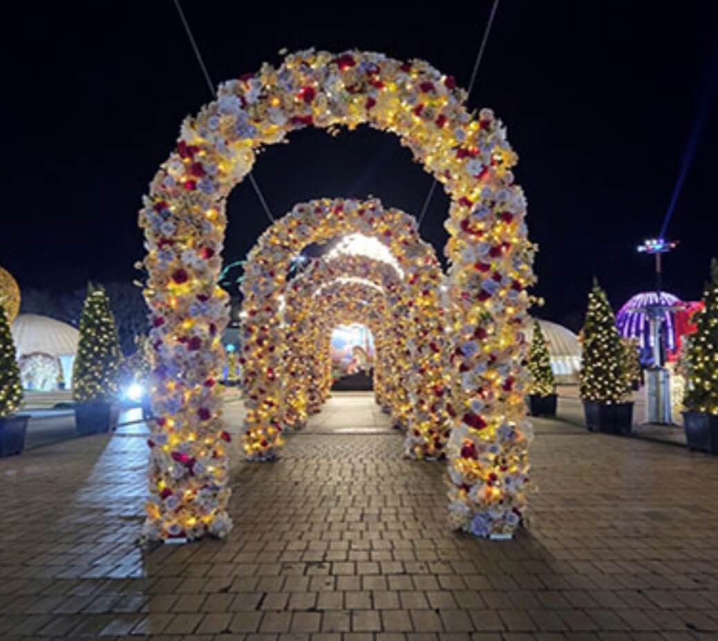 함평 겨울 빛축제