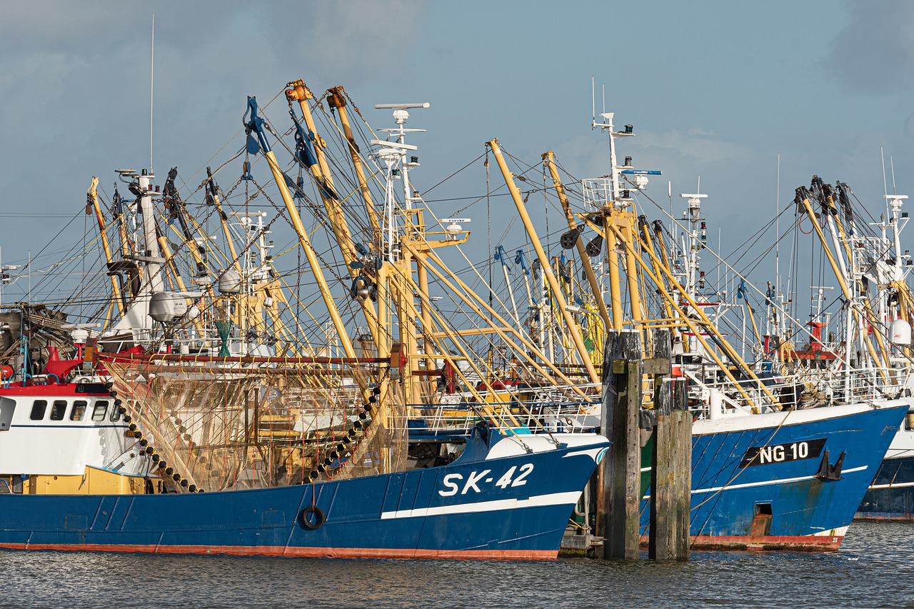 2025 김장철 수산물 할인 시작