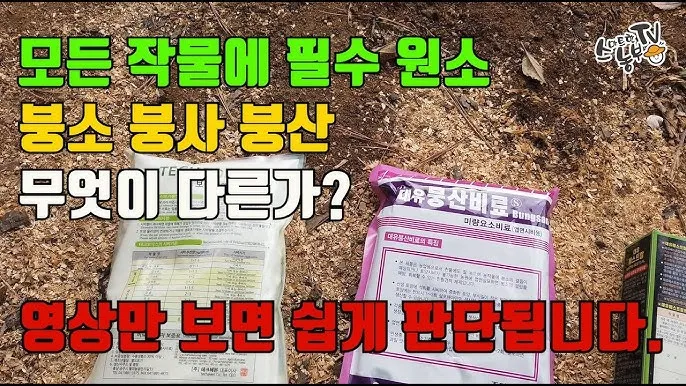붕산의 효능 비료 바퀴벌레 개미 퇴치법 칼슘 용도 붕사의 차이 만드는 법 안내집_1
