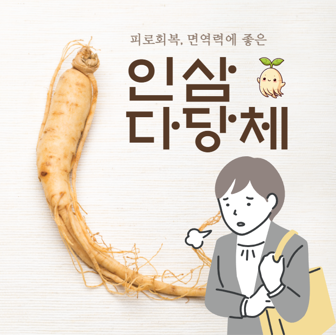 인삼다당체 효능 부작용 복용법 완벽정리
