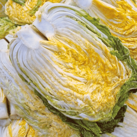 괴산 절임배추 추천