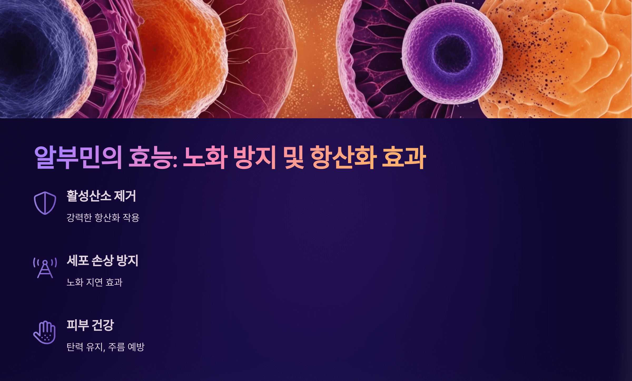 알부민과 관련된 사진입니다.