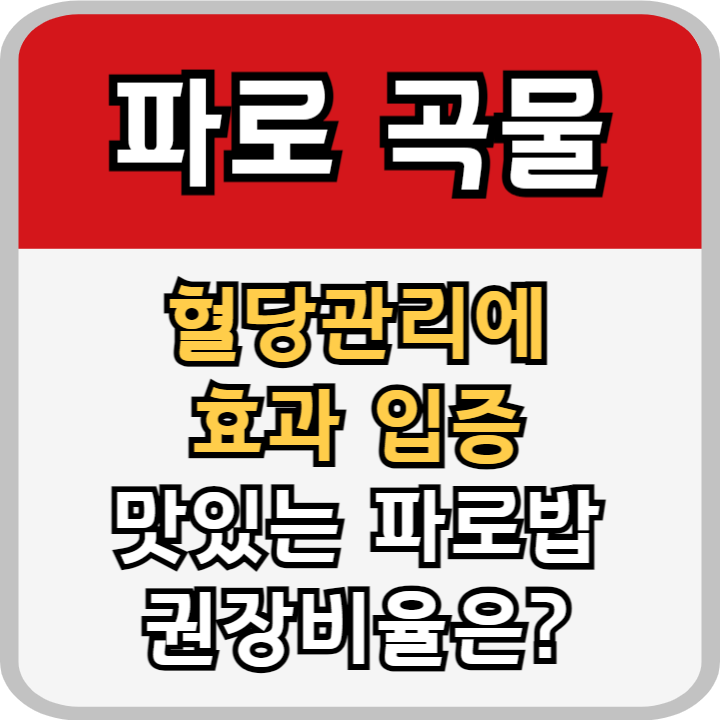 파로 혈당관리 효과와 맛있는 파로밥 권장비율