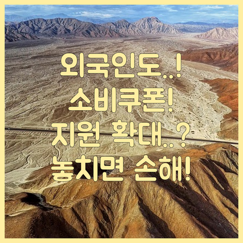 2차 민생회복 소비쿠폰 외국인 지원 ..