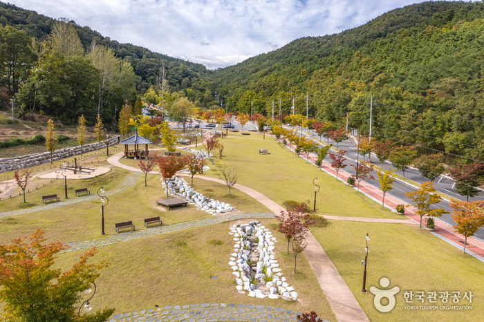 구미 가볼만한곳: 구미에코랜드