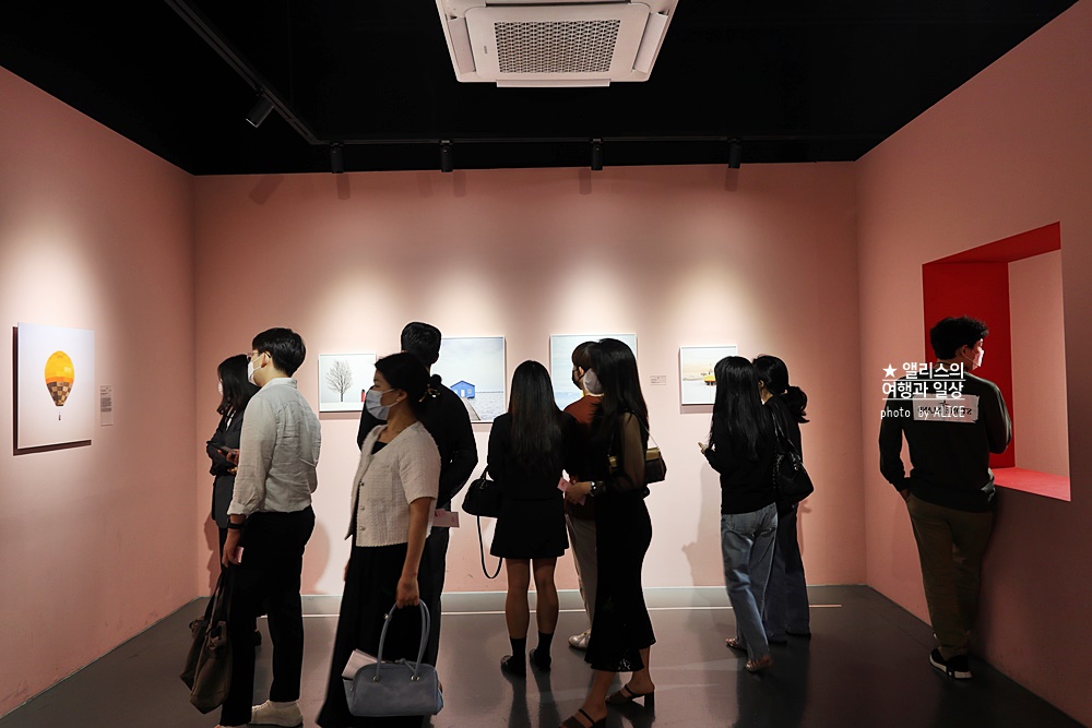 우연히 웨스 앤더슨 전시 추천, 그라운드 시소 성수