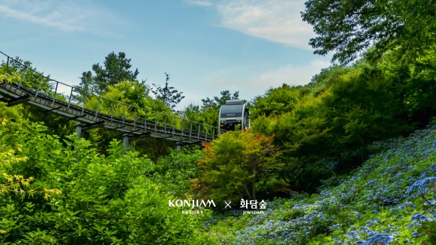 럭셔리 여름휴가 호캉스 추천 리스트