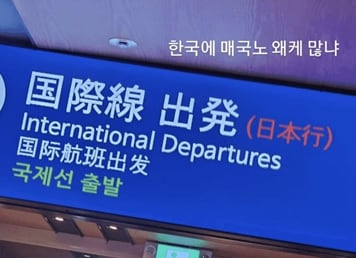 안산 선수가 일본풍 음식점이 입점한 광주의 한 쇼핑센터 사진과 함께 '한국에 매국노 왜 이렇게 많냐'고 올렸다. [사진=안산 인스타그램]