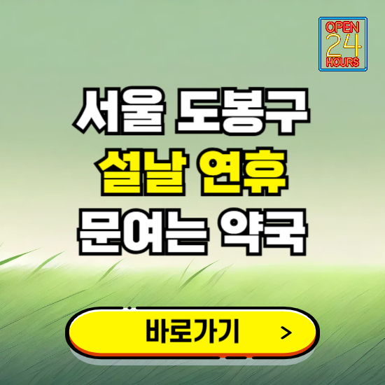 서울 도봉구 설날 연휴 문여는 약국 ❘ 24시 비상 당직 일요일 밤에 문여는 곳