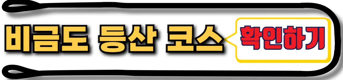 비금도 등산 코스
