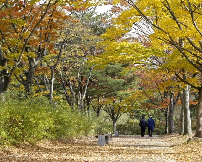 가을 단풍 명소 추천