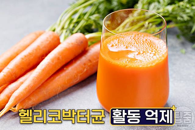 위염에 좋은 음식 당근 위염음식