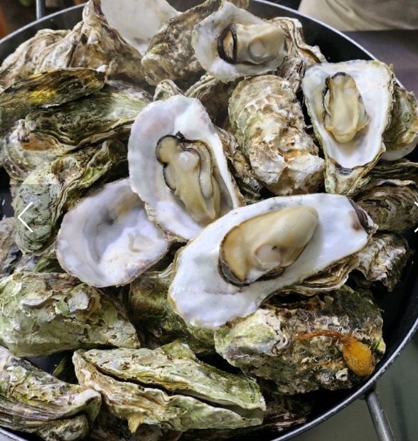 거제-굴코스-굴구이-옥바우