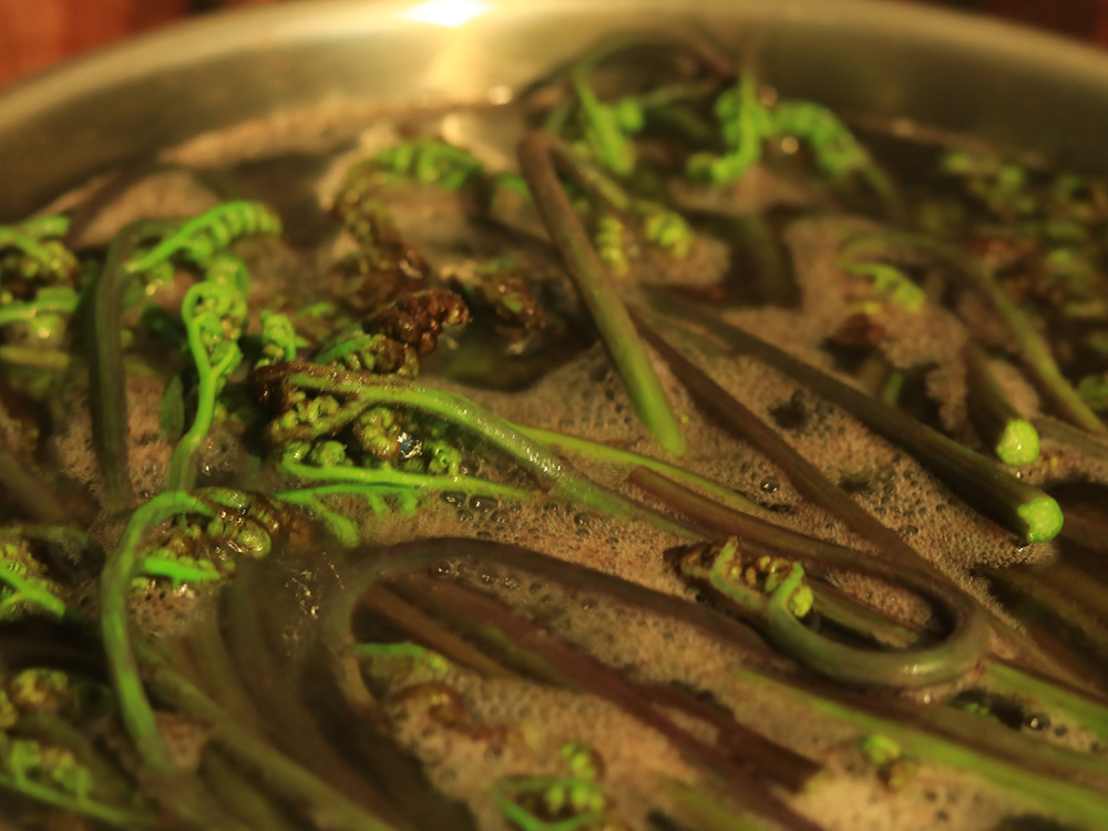 캐나다 고사리 물에 데치기