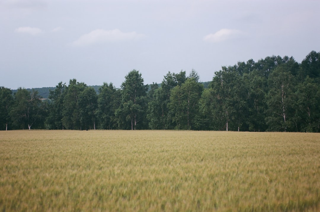Land.