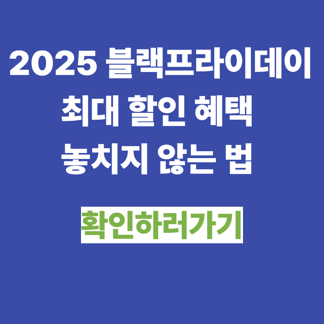 2025 블랙프라이데이 놓치면 후회하는 특가템 총정리
