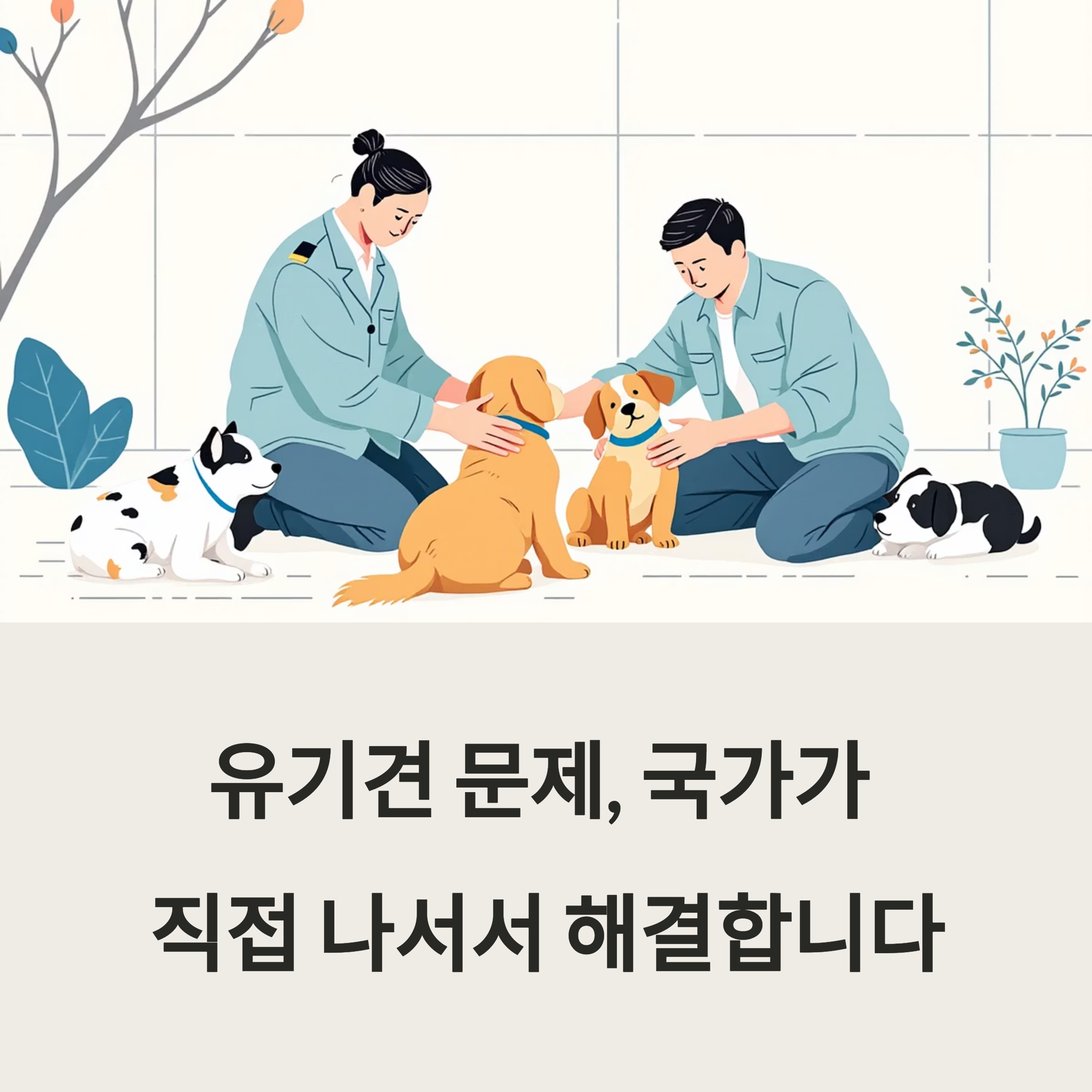 유기견 문제, 국가가 직접 나서서 해결합니다. 포스터 이미지
