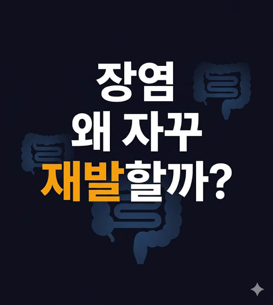 장염 재발 관련 인포그래픽