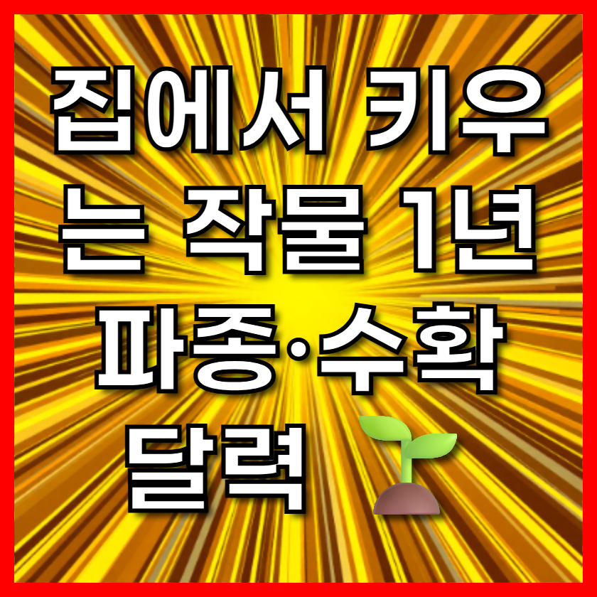집에서 키우는 작물 1년 파종&middot;수확 달력 🌱