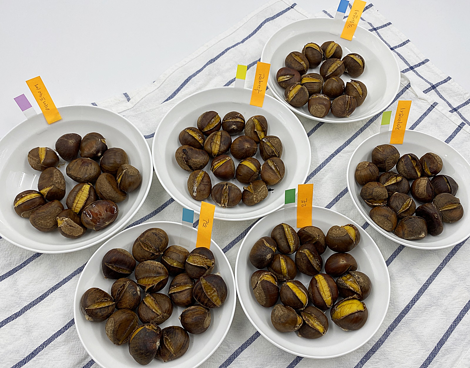 약단밤 조리법 비교 1