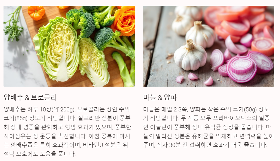 양배추 브로컬리 마늘 양파