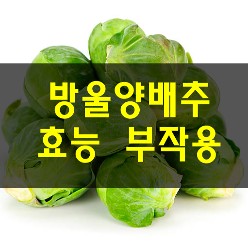 동그랗고-작은-양배추