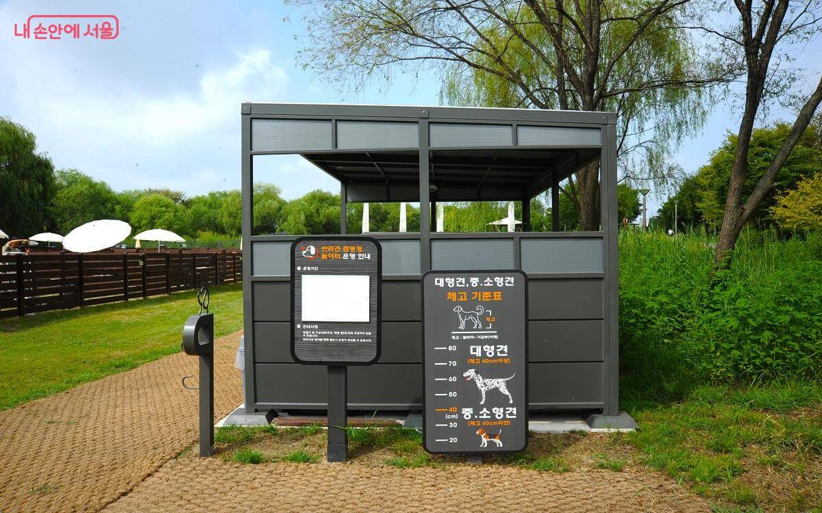 서울시 최초! 반려견 동반 노을 캠핑장 정보 및 예약 방법 알아보기