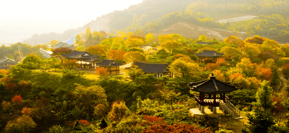 제천 가볼만한곳