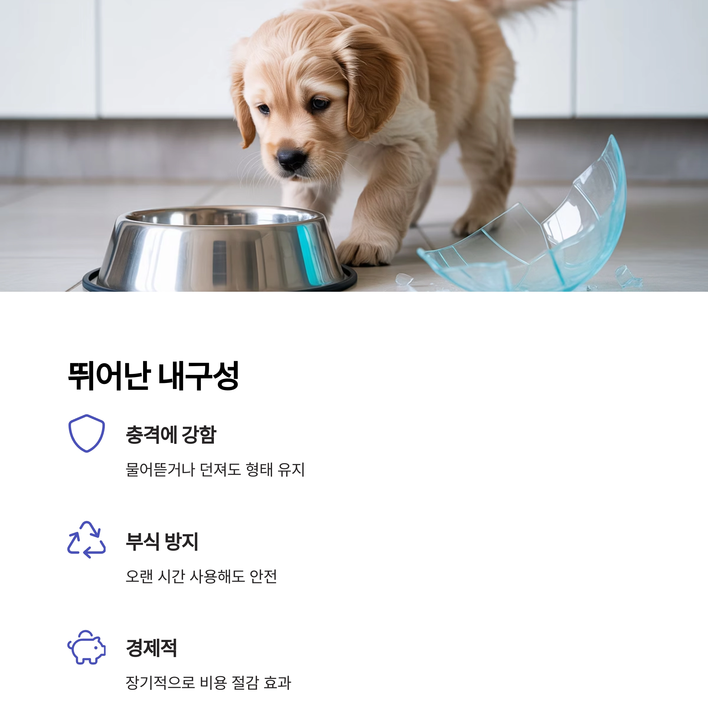 반려동물 건강을 위한 최고의 선택, 스테인리스 식기 추천 이유