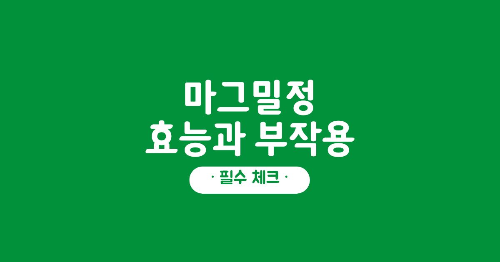 마그밀정 효능 부작용 썸네일
