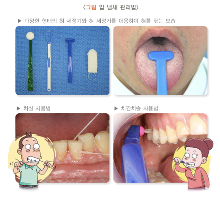입냄새 관리법