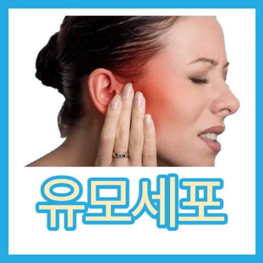 이명의 원인과 달팽이관 유모세포의 손상