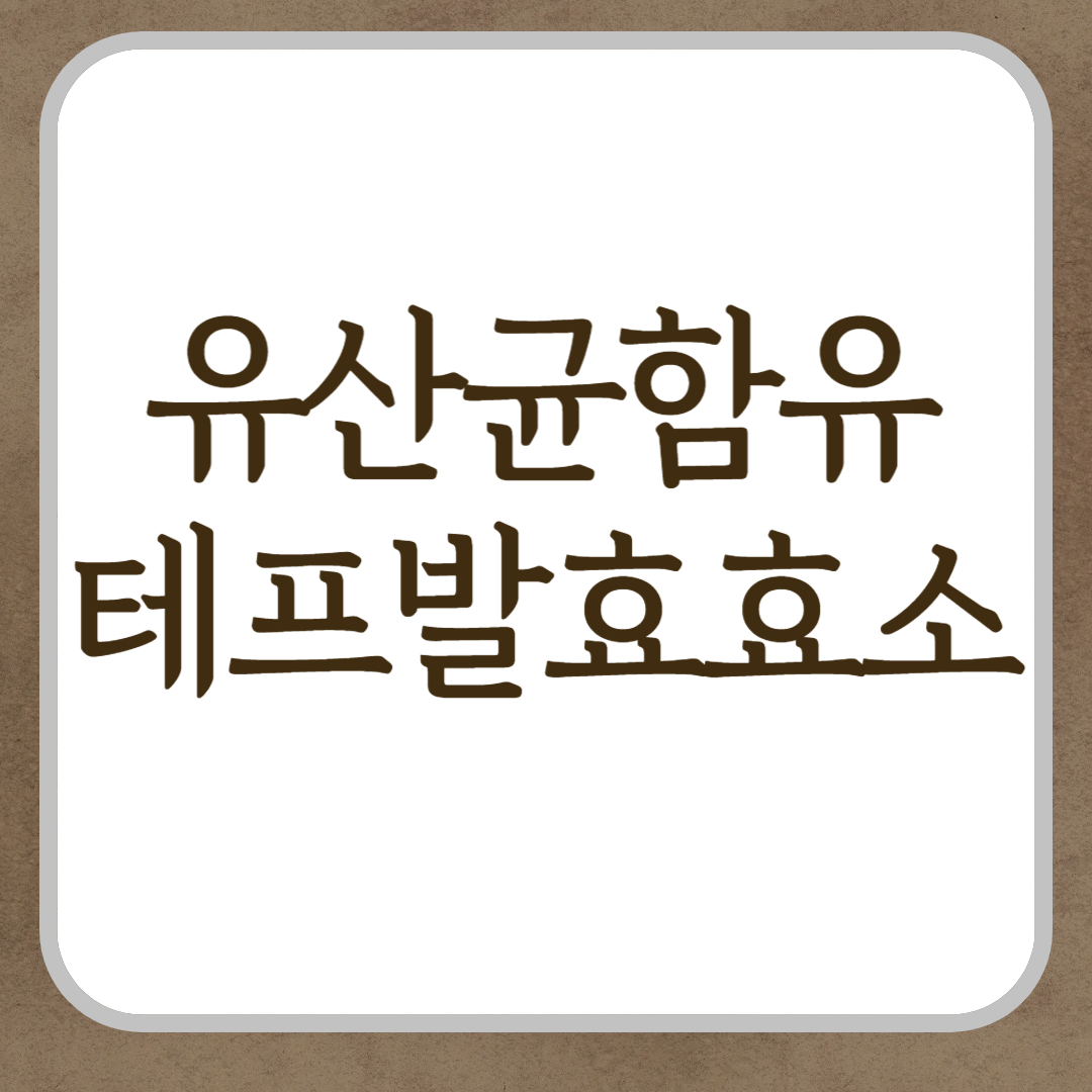 유산균함유 프리미엄테프발효효소