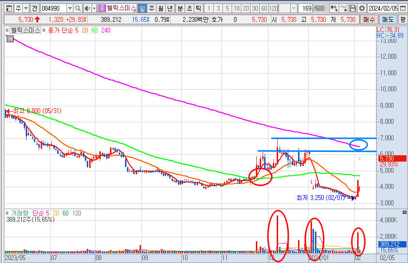 헬릭스미스 주가 일봉 차트 전망 및 분석 (24.2.5)