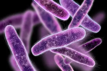 방광염 증상 및 치료법&amp;#44; 원인과 예방법