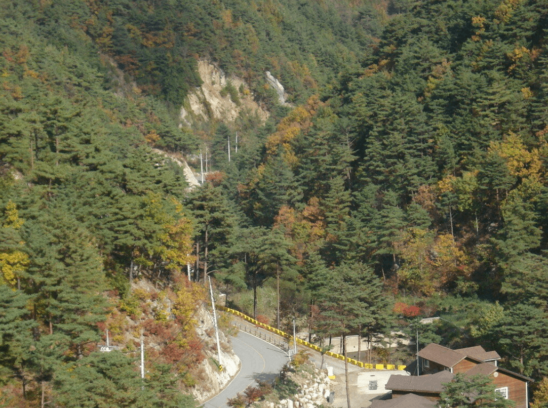 국립 검봉산 자연휴양림