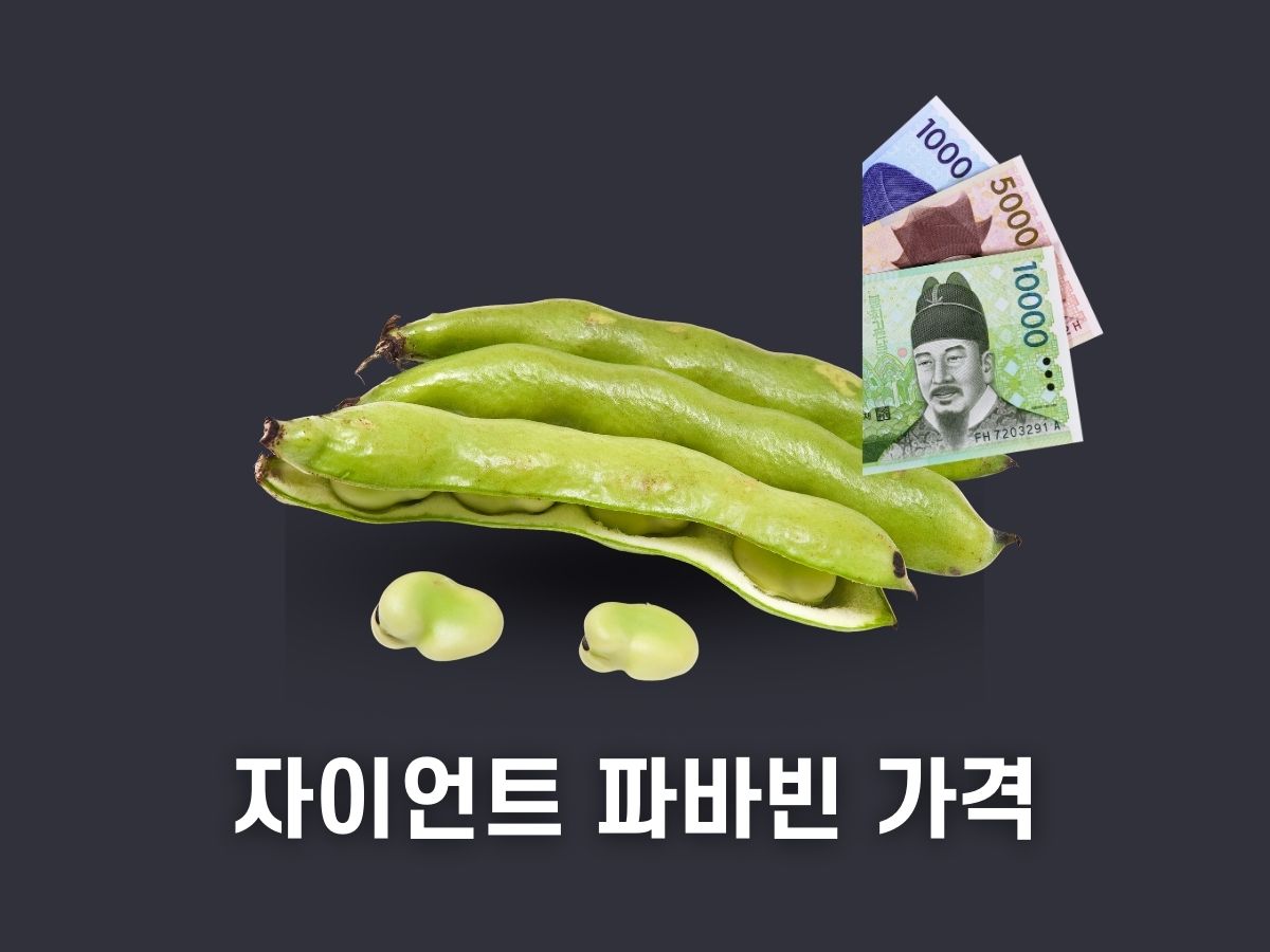 자이언트 파바빈 가격