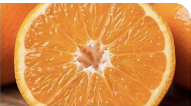 감귤을 반 잘랐을 때 보이는 속 화면